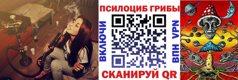 Псилоцибиновые грибы Psilocybe  Купить где  Крымск 