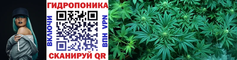Бошки Шишки план  Купить где  Крымск 